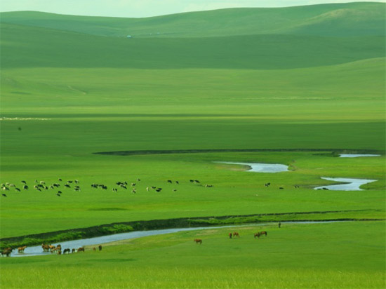 锡林浩特景点