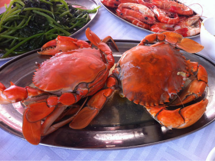 北海吃海鲜的地方_海滩吃海鲜_江门市吃海鲜的地方