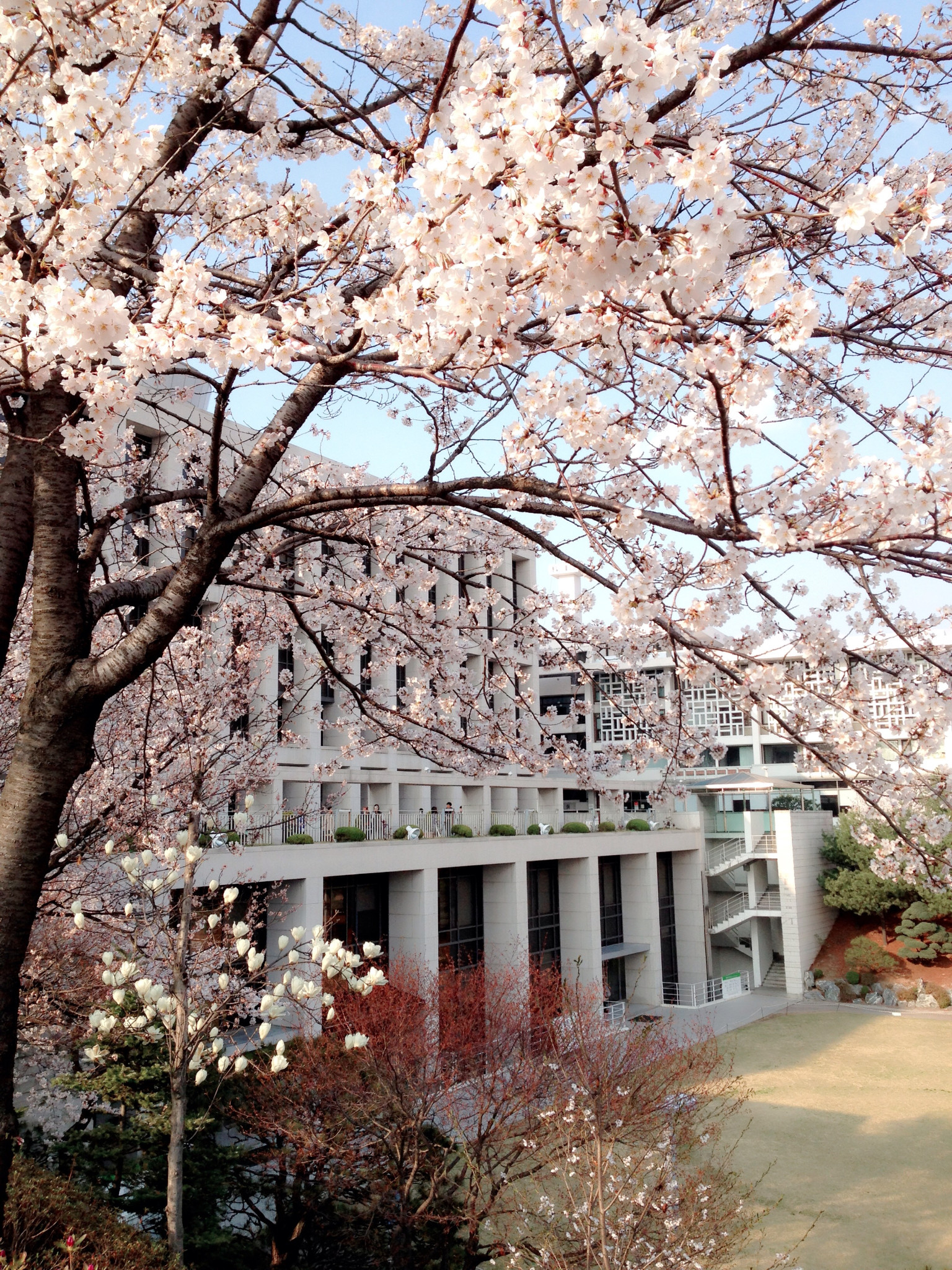 大学周边游之成均馆大学,韩国自助游攻略 - 蚂蜂窝