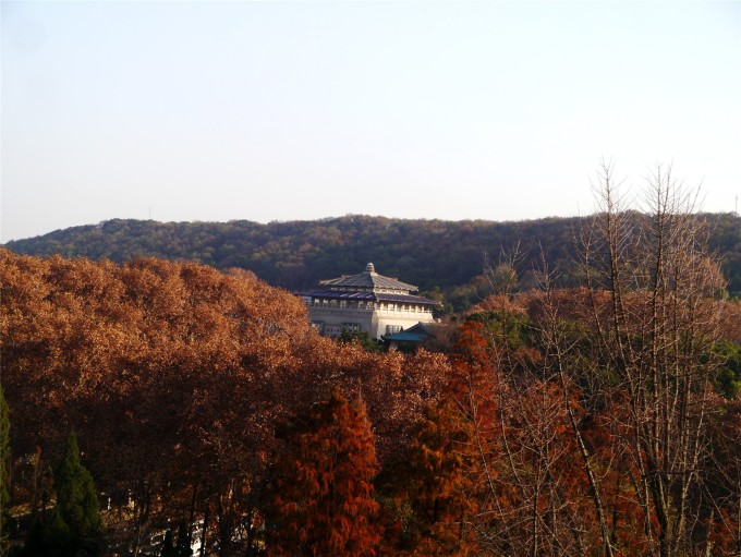 江汉路坐地铁回光谷. 光谷步行街,很繁华的一条街.