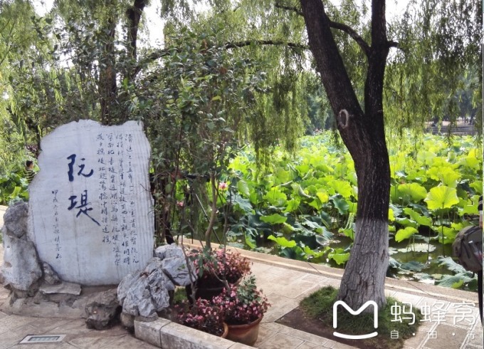 --> 下一行程是大理,带小孩出行,不想赶去坐长途车,所以联系当初送我们来双廊的司机师傅接我们去大理,并入住他家客栈。客栈环境一般比不上双廊,价格便宜。之前客栈老板说过可以给我们买套票,后来知道其实就是把我们送上了一个散客团,所以在大理所有的团无论旅行社的还是客栈订的都不好,会带你去购物,当然现在社会环境下不购物导游倒也不会骂人,但是一路上的洗脑也是非常可怕的,还浪费了时间。给我们的教训是:如果想在大理玩好,那就包车,大理包车价格还便宜,本地的阿鹏哥既是司机师傅又兼导游,5坐的suv一天四百元。 在简单