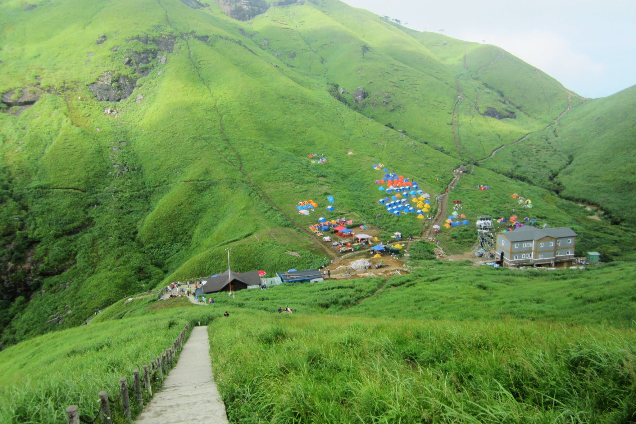 武功山高山草甸        
