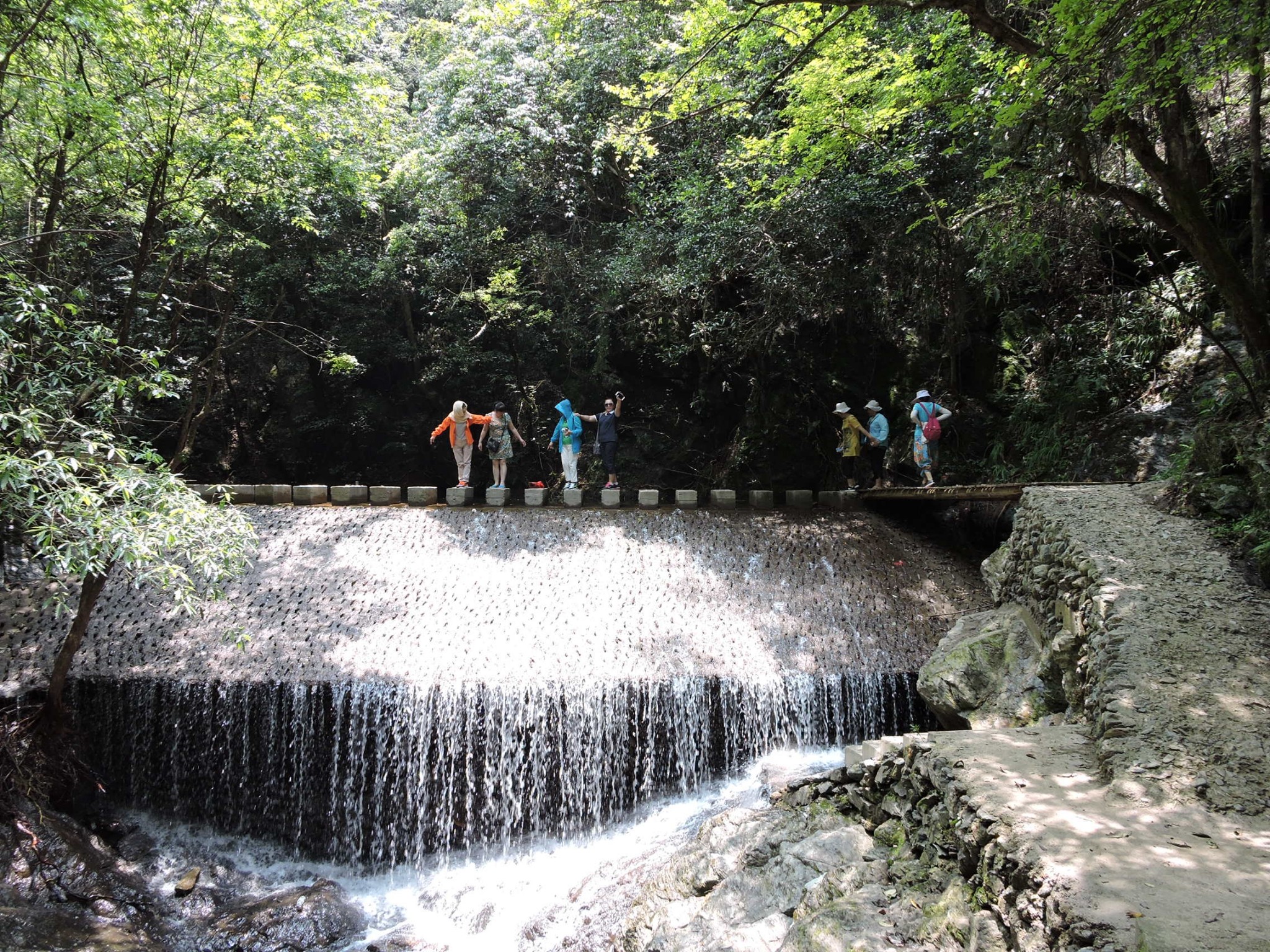 探幽绿色深山——平江芦头森林生态游,平江旅游攻略 - 马蜂窝