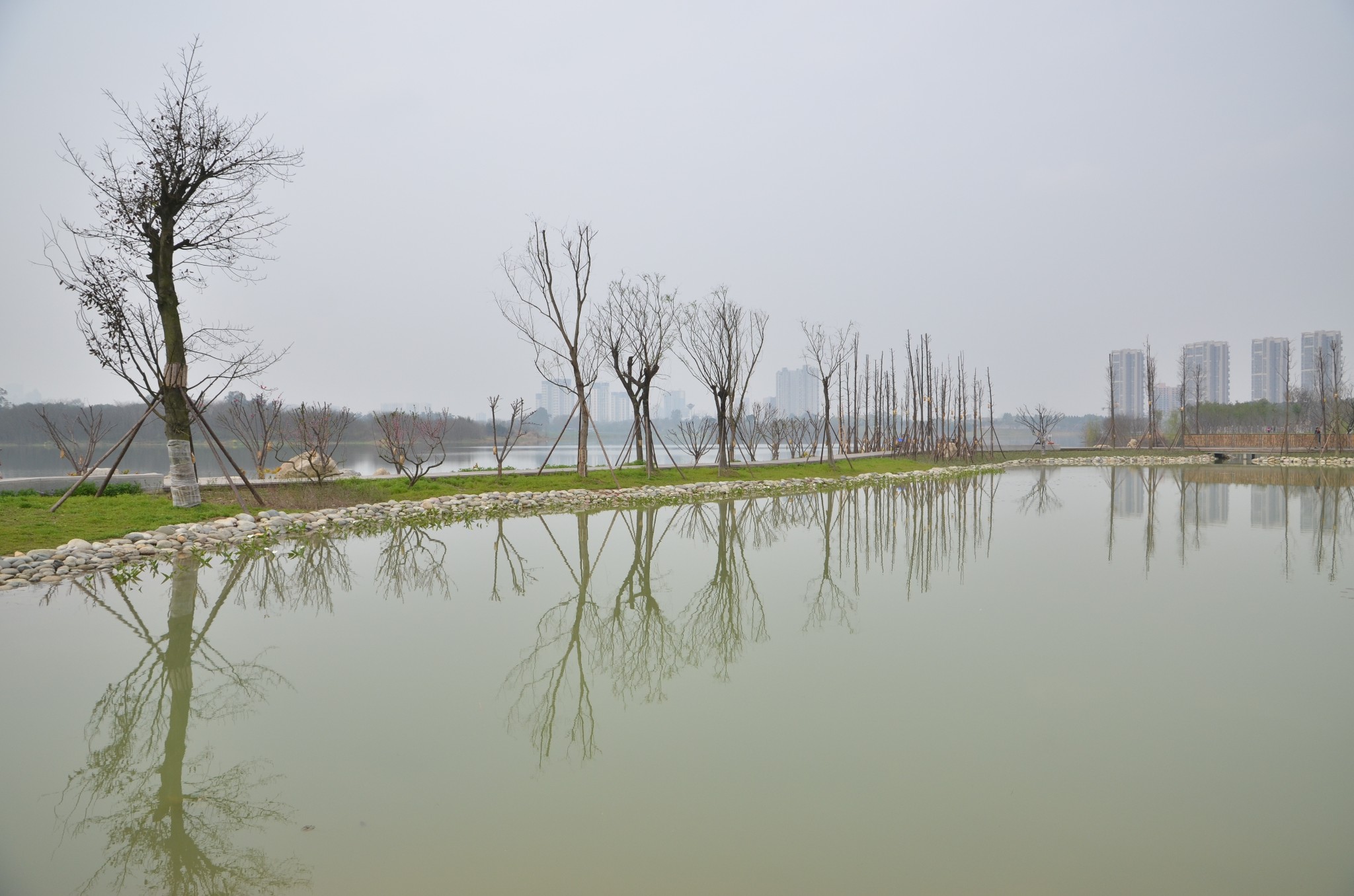 十陵青龙湖湿地公园