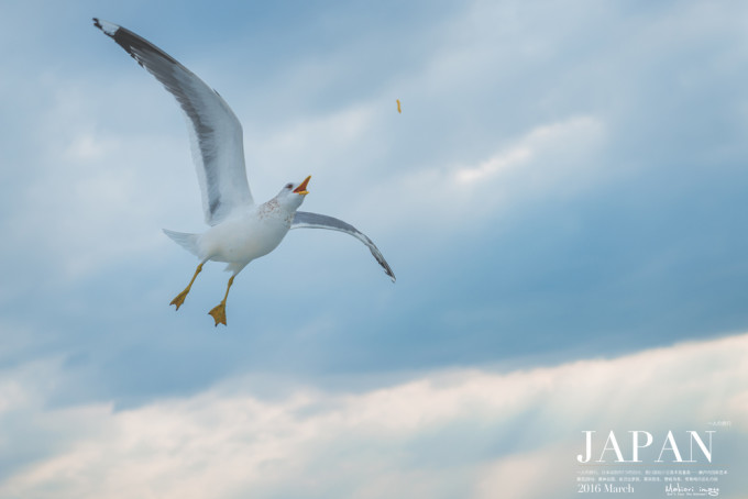 卡纸动物头饰手工