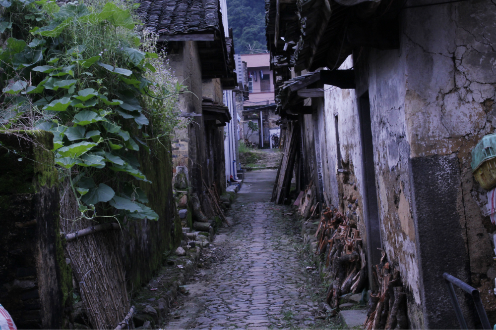 增城必游景点 溪头村内河流众多,总长约8km,是流溪河的主要源头之一.