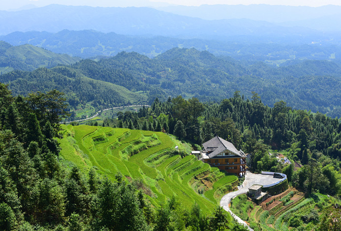 山中岁月-湖南新化紫鹊界闲居,漫步梯田